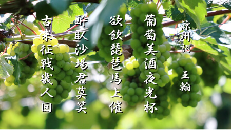 「涼州詞」王翰